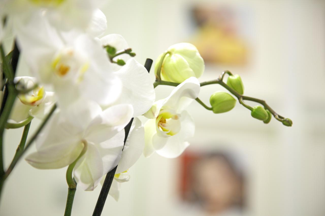 Prado Suite Madrid Bagian luar foto